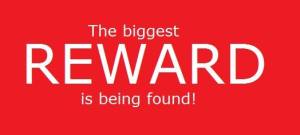 1526129_479584215496076_1422600854_n